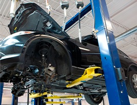 Imagem institucional